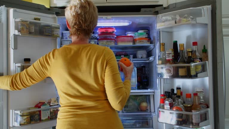 the-evolution-of-the-refrigerator-from-icebox-to-smart-appliance