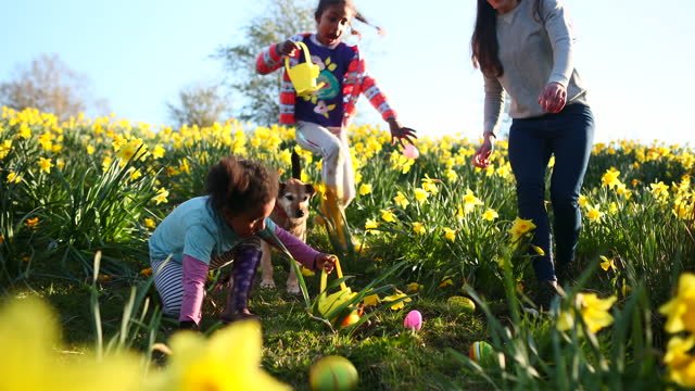 A black family (girls) in a field of yellow lilies picking up colorful eggs. One of the girls is holding a yellow pale and there is a dog with them. 