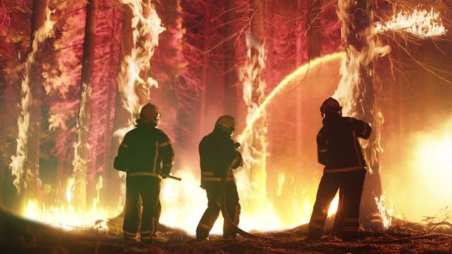 Firefighters fighting a wildfire