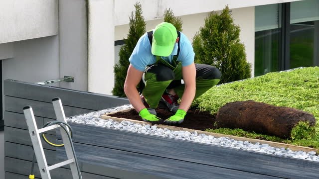 A man planting sod in his front yard